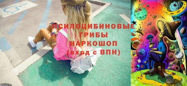 индика Новокубанск