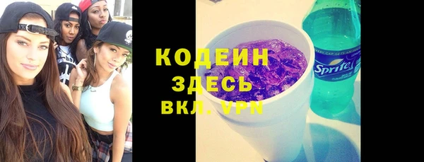 индика Новокубанск