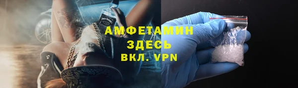индика Новокубанск