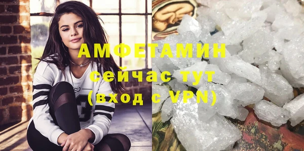 индика Новокубанск