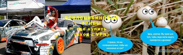 винт Богородицк