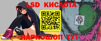 прущие грибы Гатчина