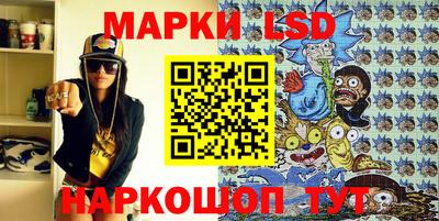 прущие грибы Гатчина