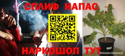прущие грибы Гатчина