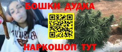 прущие грибы Гатчина