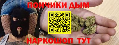 прущие грибы Гатчина