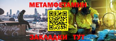 прущие грибы Гатчина
