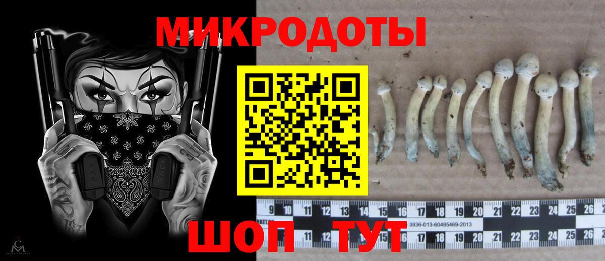 Псилоцибиновые грибы мицелий  Вход с VPN  Ставрополь 