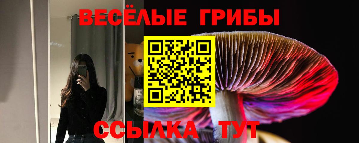 Кокаин  Ставрополь  МЕТ  Каннабис  Мяу-Мяу  A-PVP  Cocaine  Канабис  Вход с VPN  MDMA 