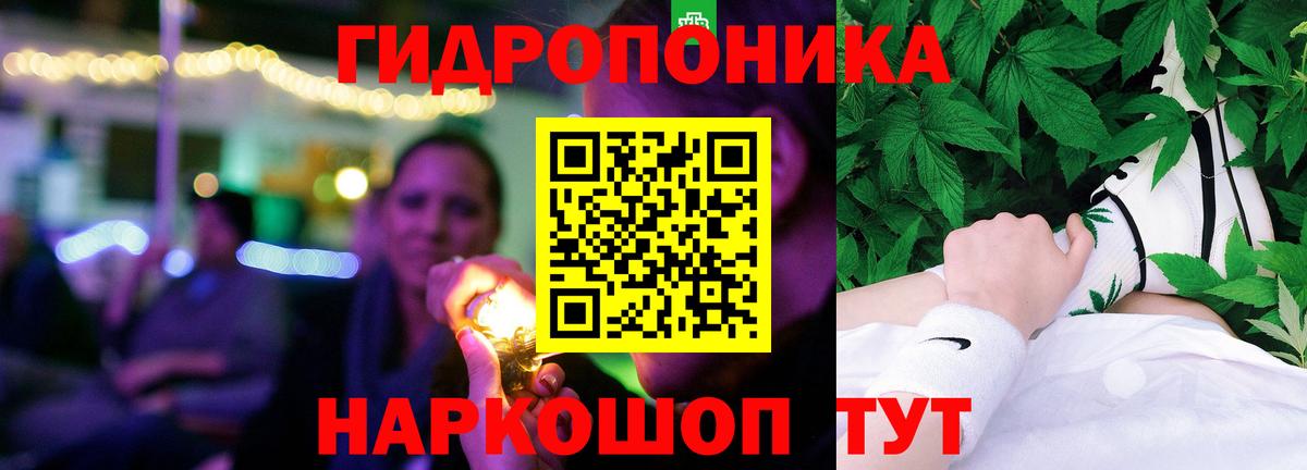 Ставрополь  Бошки марихуана семена  Канабис OG Kush  Вход с VPN  Каннабис White Widow 